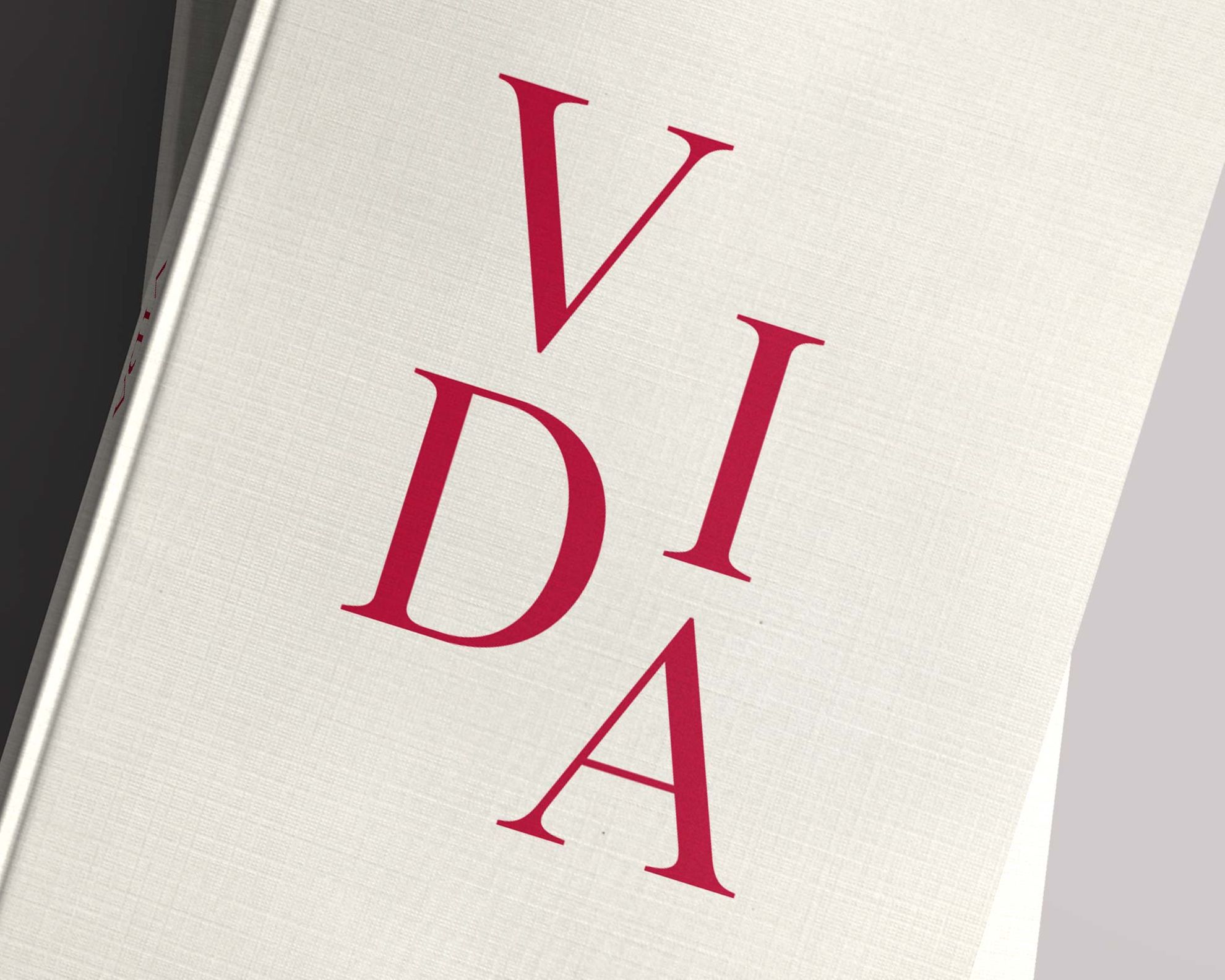 Vida — DOMO-A | Art direction & graphic design